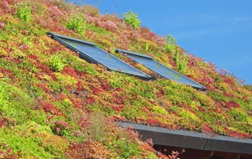Pyecombe living roof systems