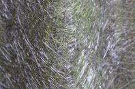 Pyecombe fibreglass roof work